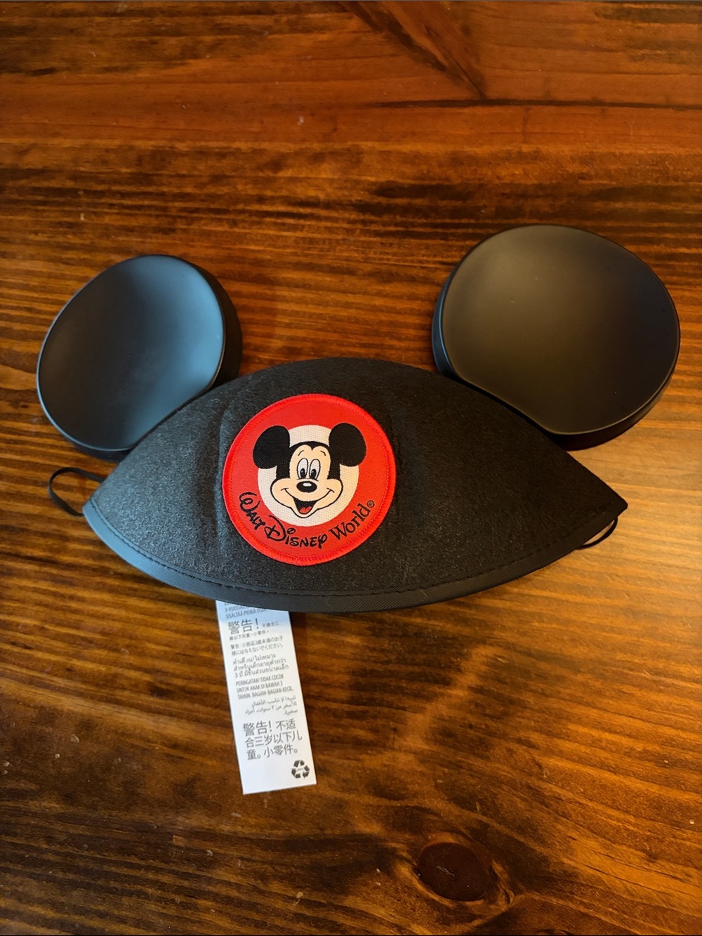 Walt Disney World Mickey Mouse Ears Hat